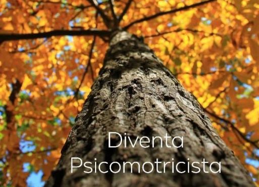 Fotografia di albero in autunno presa dal basso con frase Diventa Psicomotricista